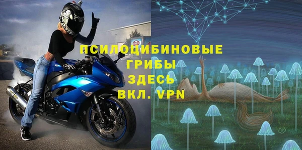гидропоника Алзамай