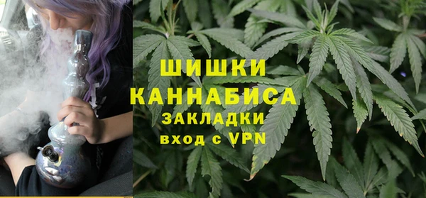 гидропоника Алзамай